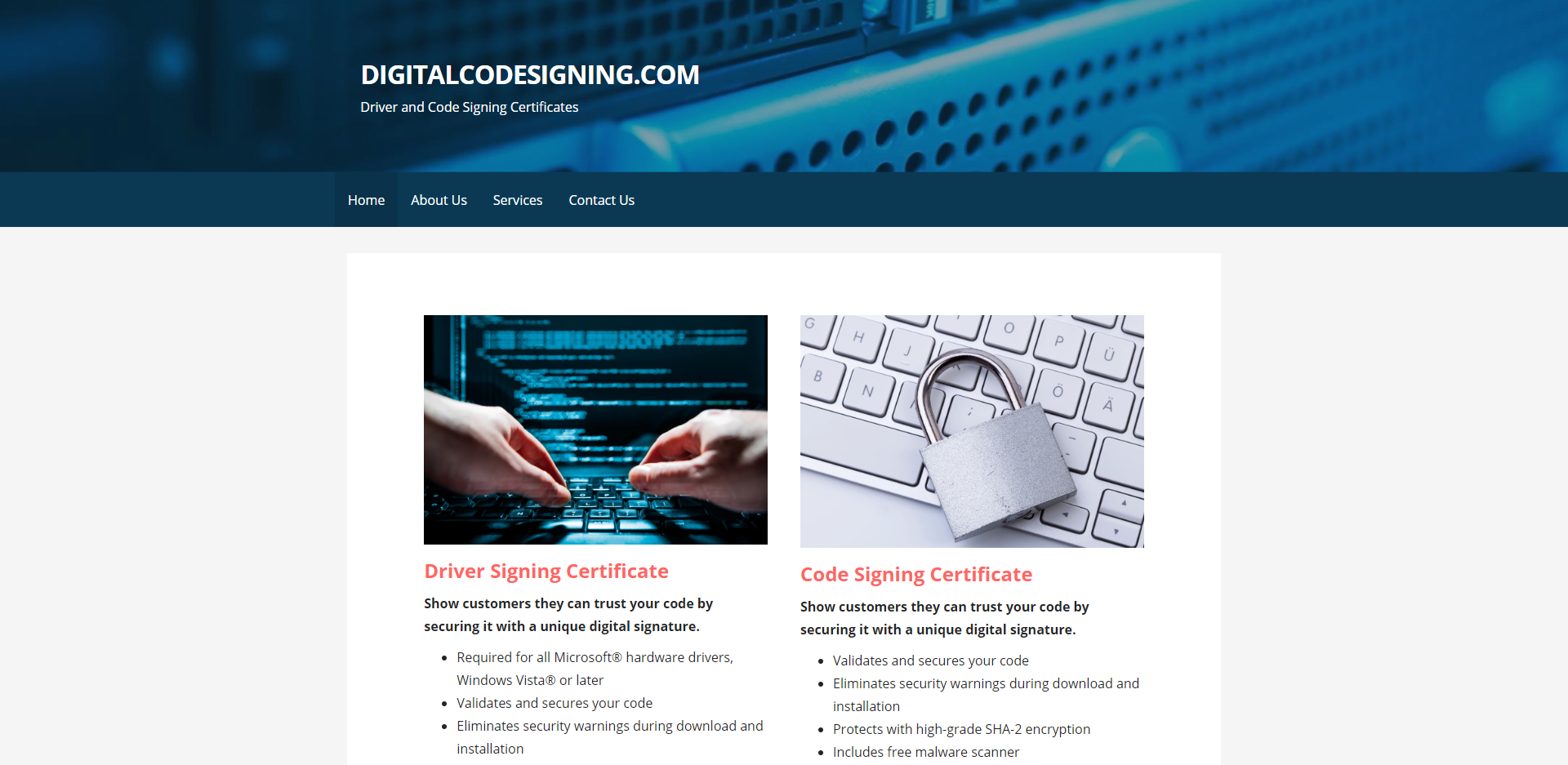 TAHAI Web Services technical brand visual